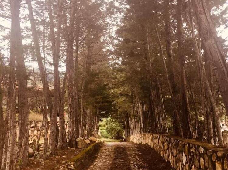 פנסיון Lo Nuestro   Hospedería