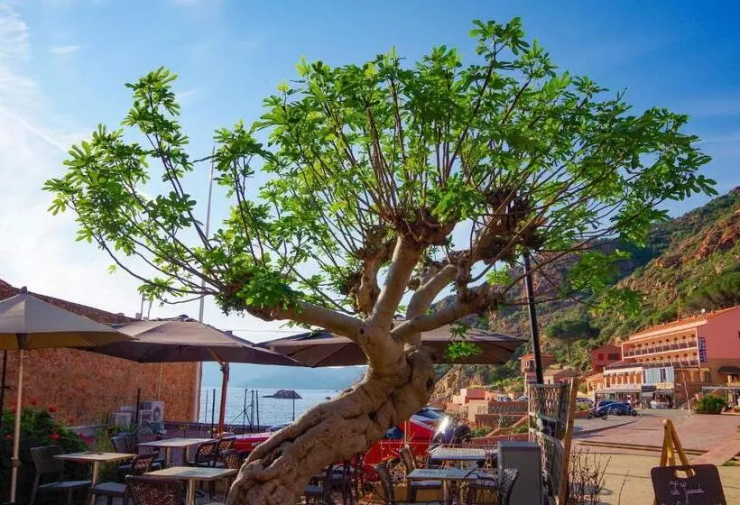 هتل Hôtel Le Golfe Ecolabel Eu
