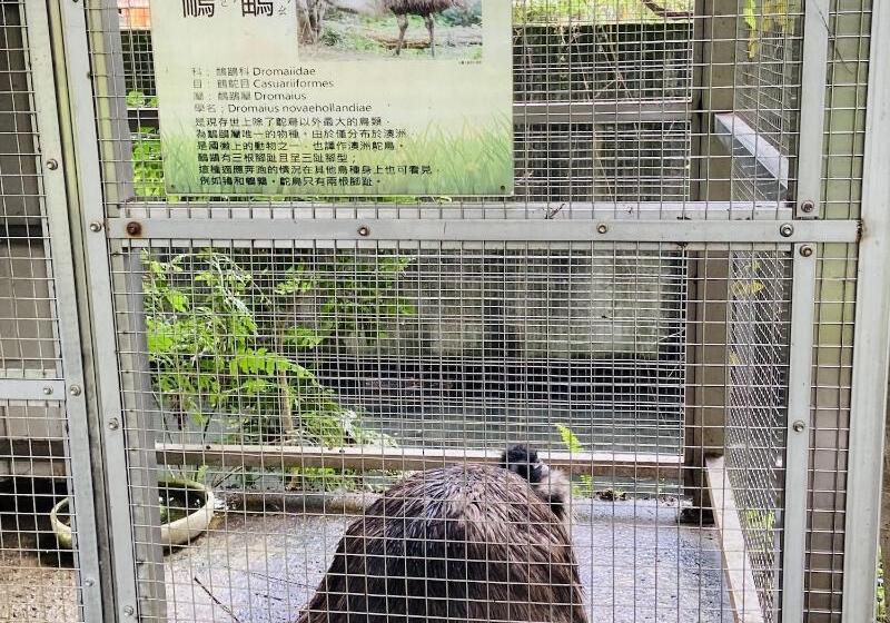 هتل River Forest Leisure Farm