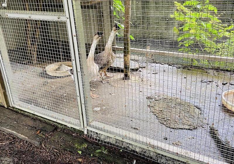 هتل River Forest Leisure Farm