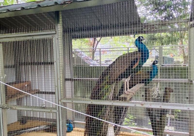 هتل River Forest Leisure Farm