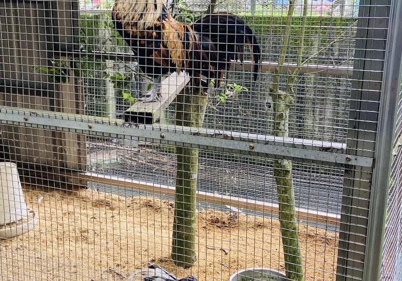 هتل River Forest Leisure Farm