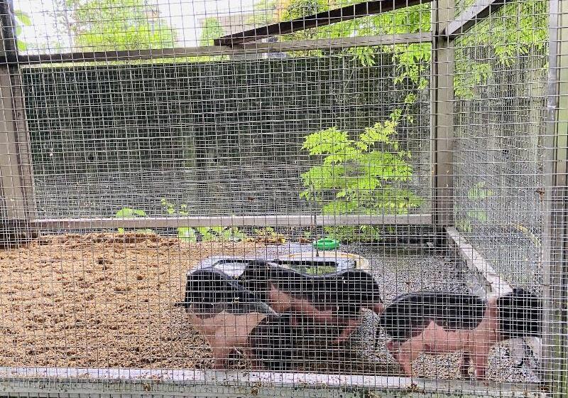 هتل River Forest Leisure Farm