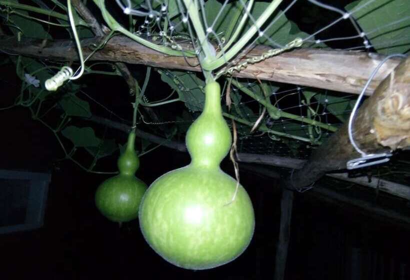 酒店 Seaside Villa