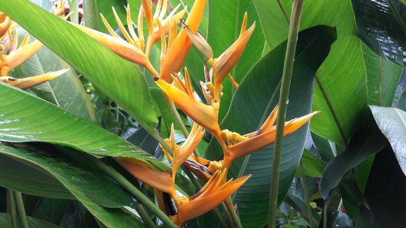 酒店 Seaside Villa