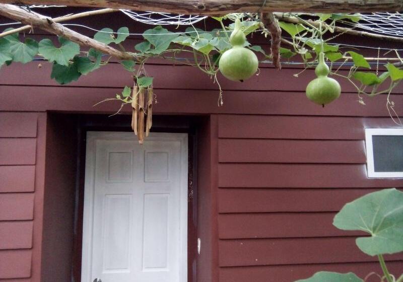 酒店 Seaside Villa