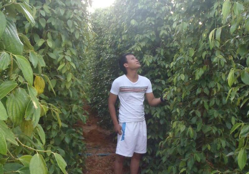 酒店 Seaside Villa