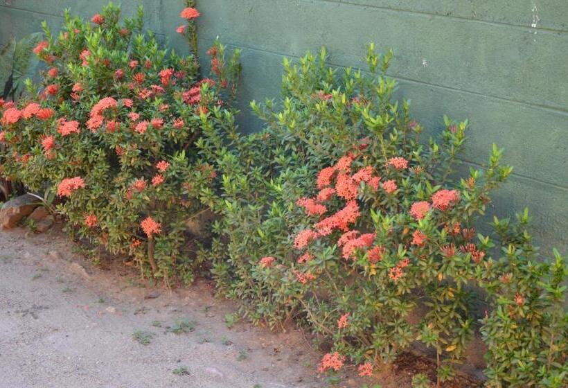 Отель Sunny Lanka Guest House