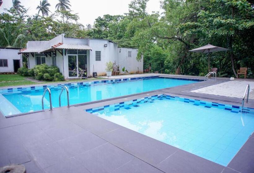 호텔 Blue Fox Hikkaduwa