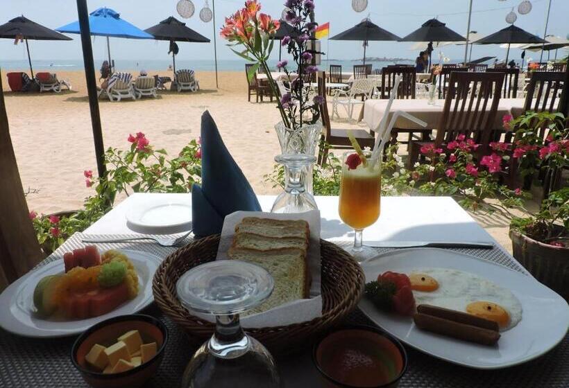 בית מלון כפרי The Villa