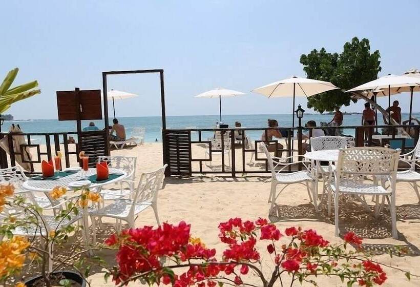 בית מלון כפרי The Villa