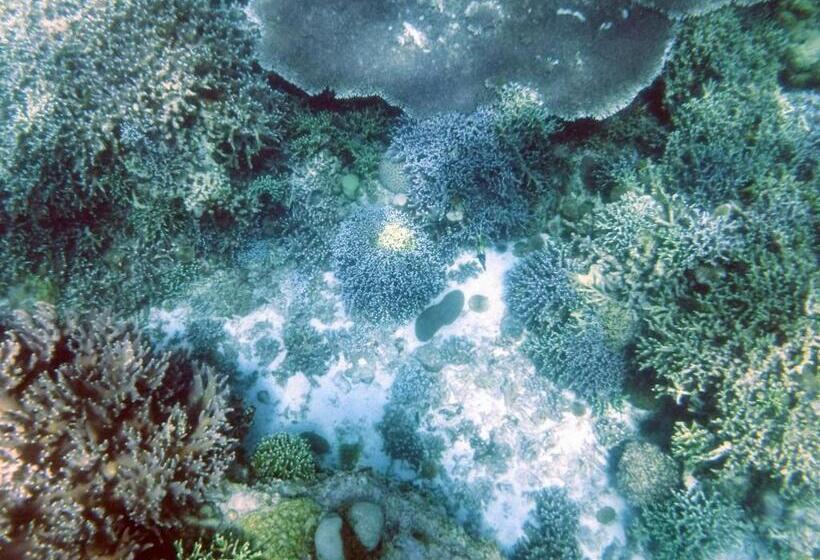 Moalboal T Breeze Coastal Resort