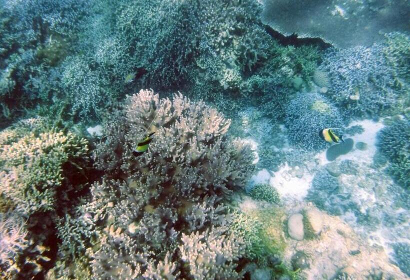 Moalboal T Breeze Coastal Resort