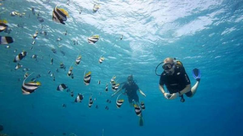 پانسیون Batuta Maldives Surf View