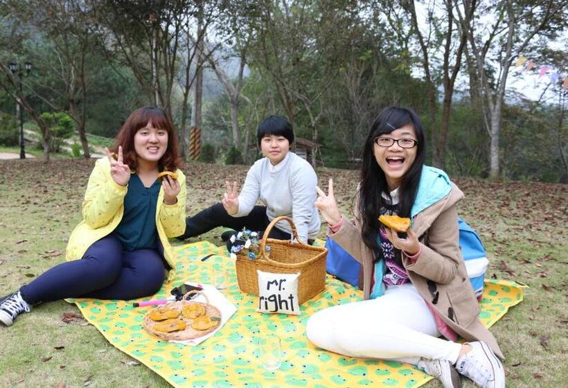 Pension Bear Meets Moose Homestay B&b