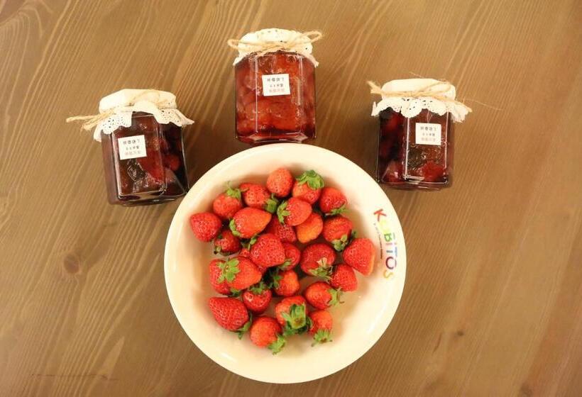 Pension Bear Meets Moose Homestay B&b