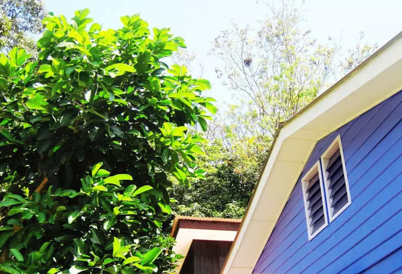 ペンション Foo Homestay