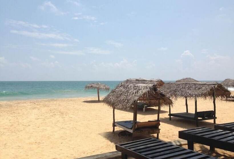 פנסיון Sea Shine Guest House