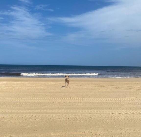 בית מלון כפרי Hervey Bay Flashpackers
