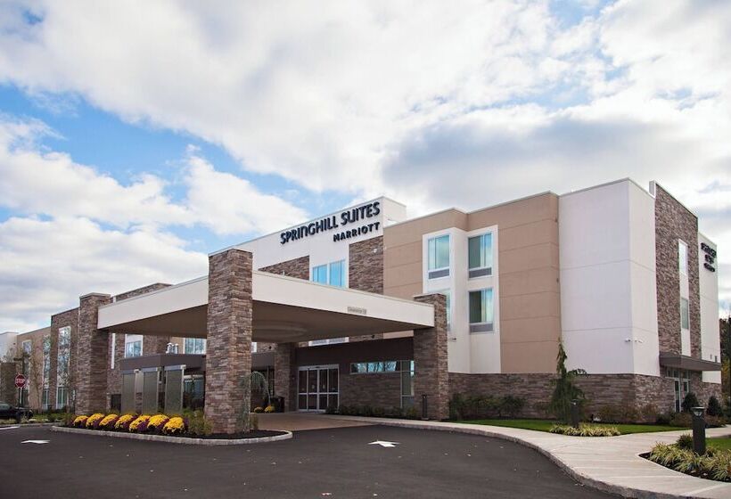 בית מלון כפרי Springhill Suites By Marriott Somerset Franklin Township