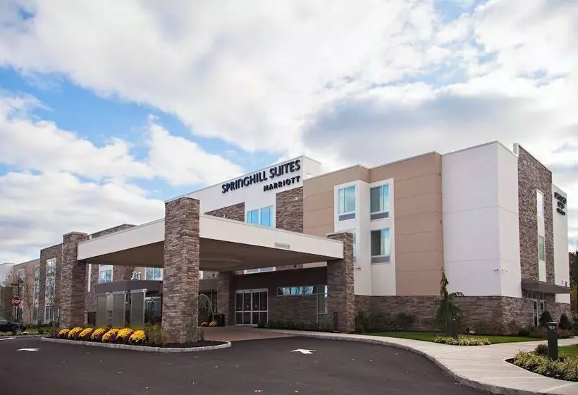 ホテル Springhill Suites By Marriott Somerset Franklin Township