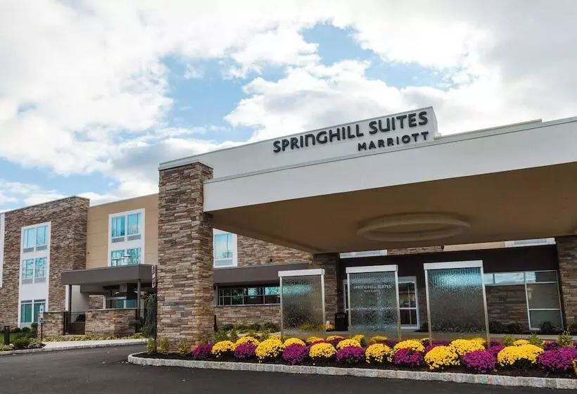 ホテル Springhill Suites By Marriott Somerset Franklin Township