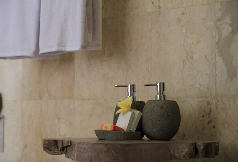 ホテル The Alena Resort A Pramana Experience