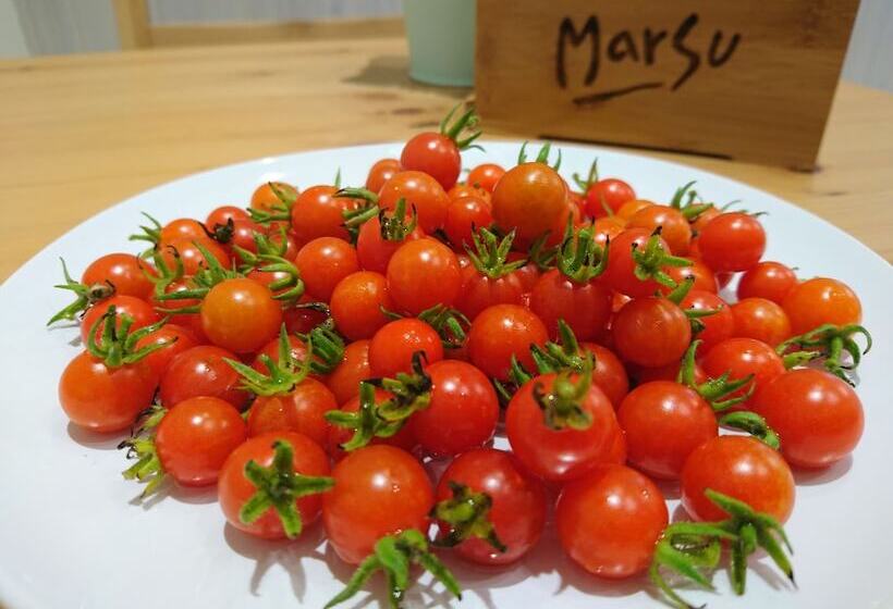 Marsu Xincheng Seaview Vegetarian B&b