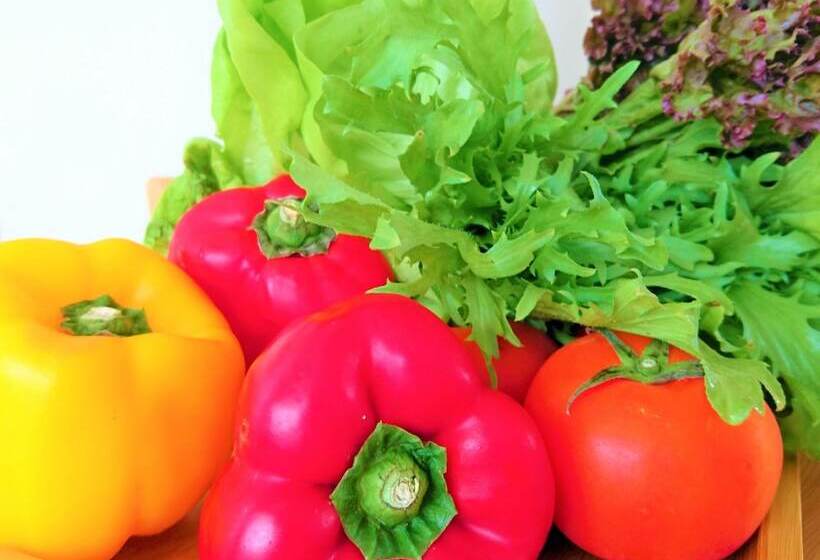 Marsu Xincheng Seaview Vegetarian B&b