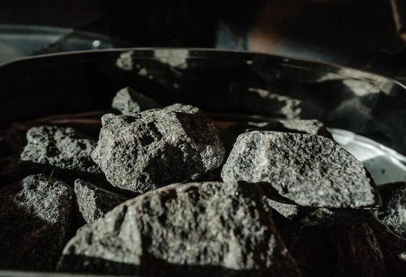 استراحتگاه Pensiunea Vox