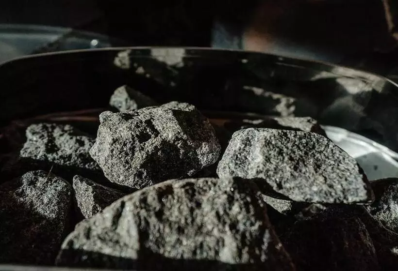 リゾートホテル Pensiunea Vox