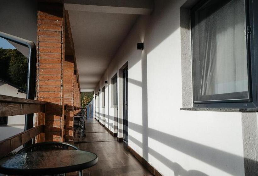 استراحتگاه Pensiunea Vox