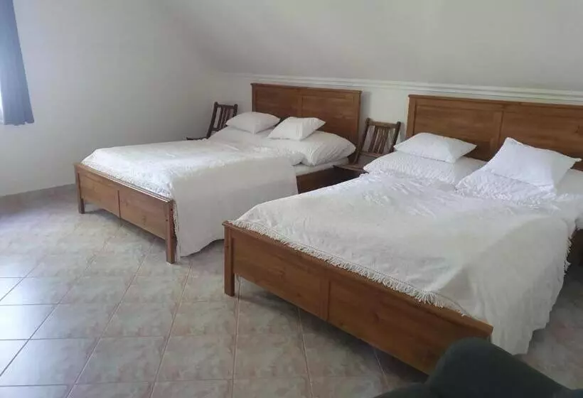 Hotelli The Luxo Wine Museum