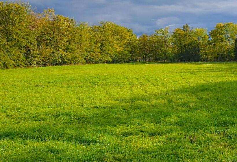 호텔 The Luxo Wine Museum