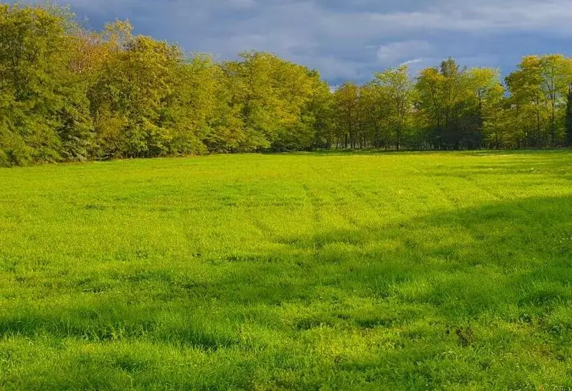 Hotelli The Luxo Wine Museum