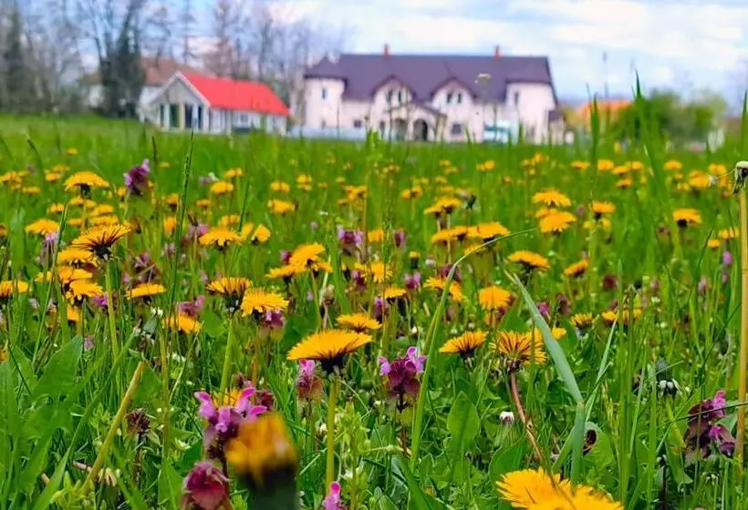 Hotelli The Luxo Wine Museum