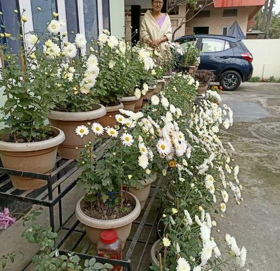 Parijat Pg Girls Hostel