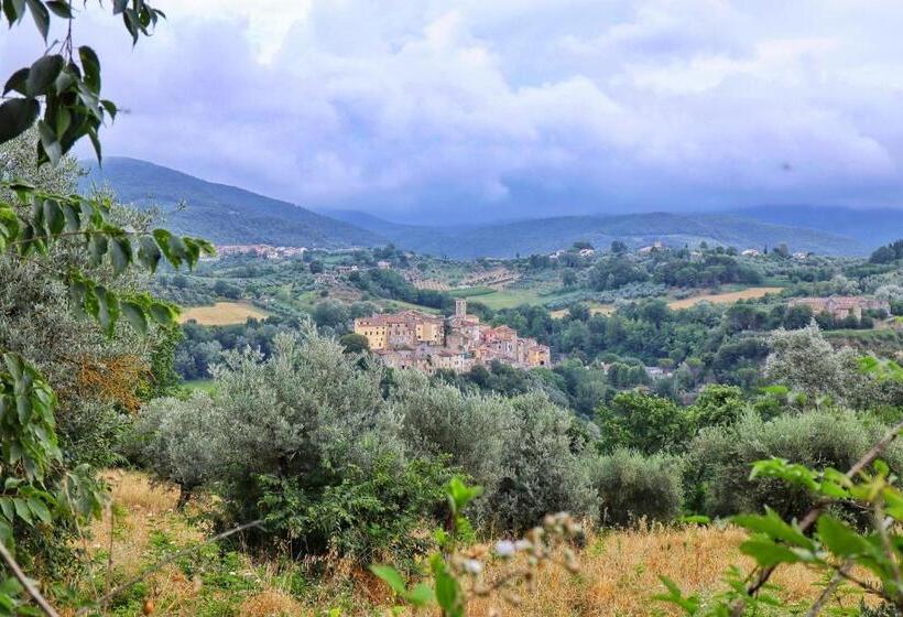 Bed and Breakfast La Stanza @ Olive Hill Sabina