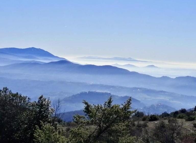 Bed and Breakfast La Stanza @ Olive Hill Sabina