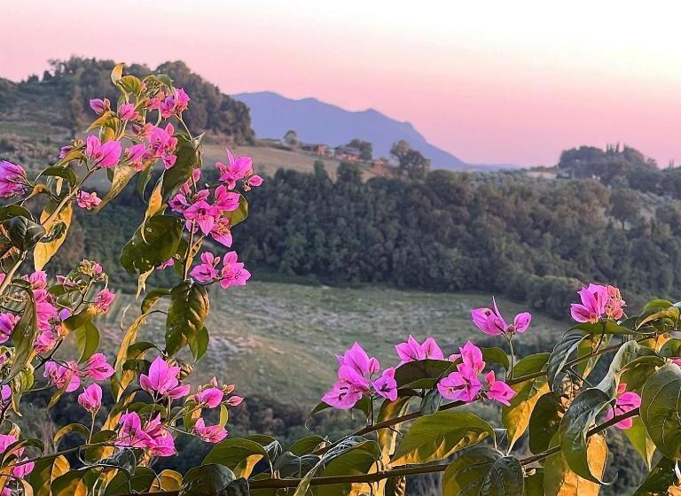 Bed and Breakfast La Stanza @ Olive Hill Sabina