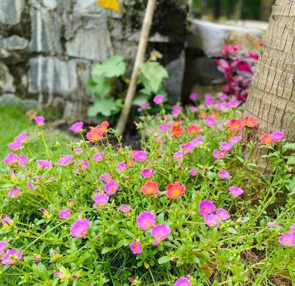 Bum King Resort Hồ Tràm