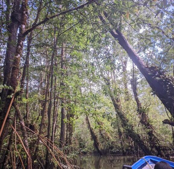Cabaña Playa Ladrilleros