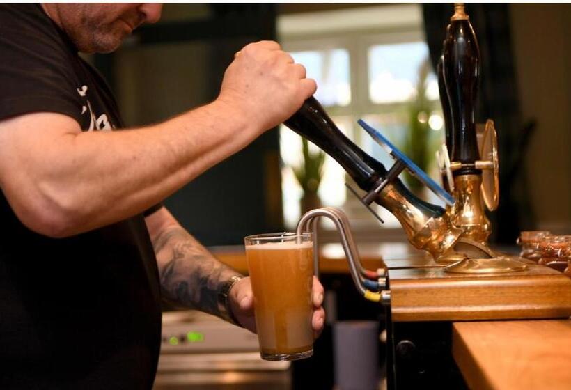 Отель The White Bear