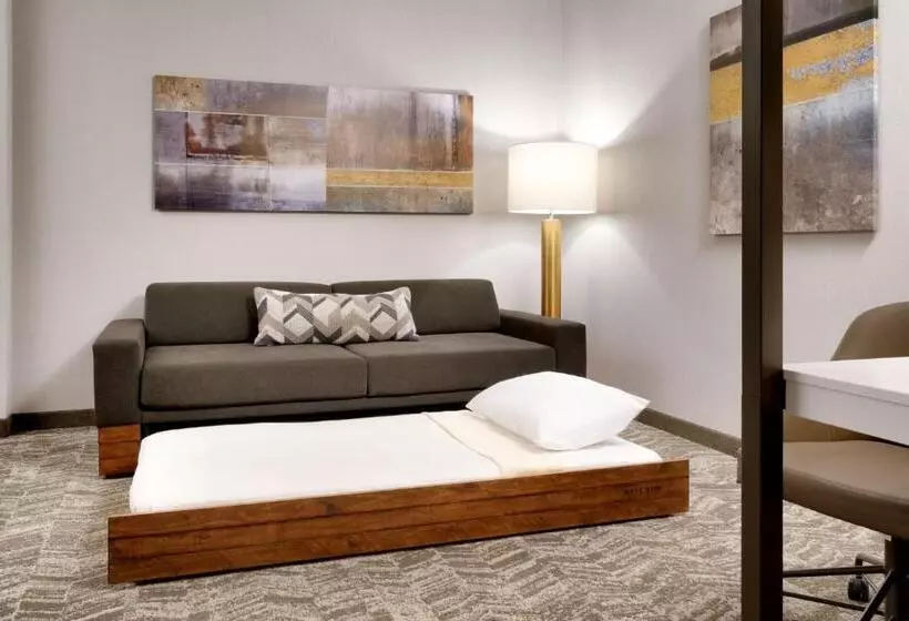 Hotelli Springhill Suites By Marriott Phoenix Scottsdale