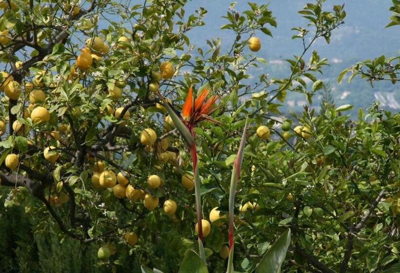 住宿加早餐 L'aleandra