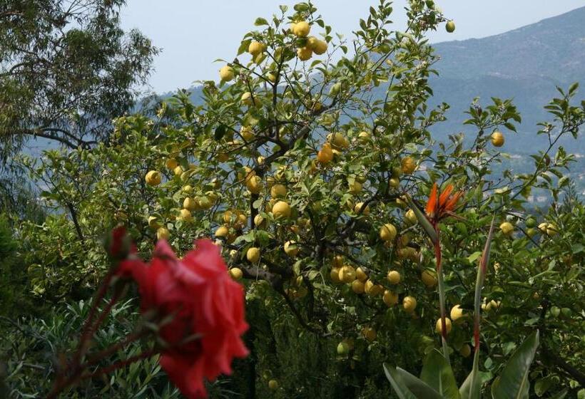 住宿加早餐 L'aleandra