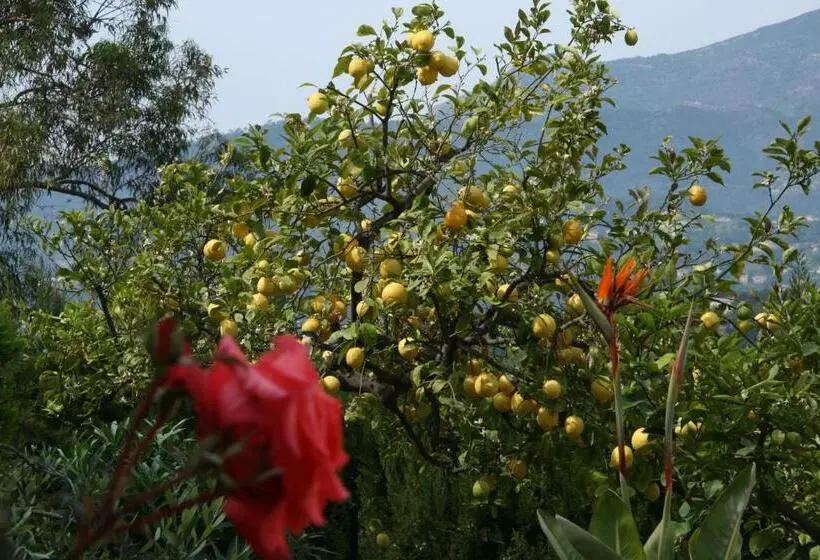 ベッドアンドブレックファースト L'aleandra