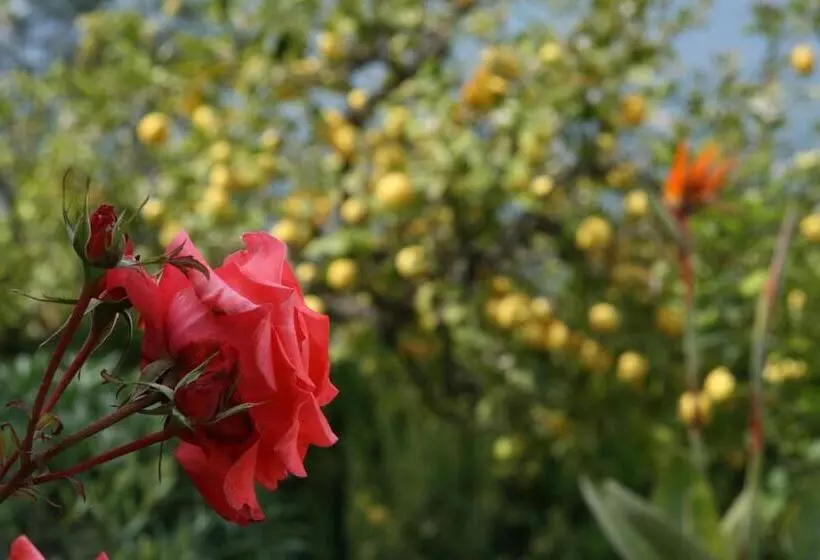 ベッドアンドブレックファースト L'aleandra