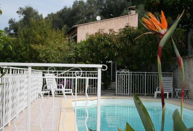 住宿加早餐 L'aleandra