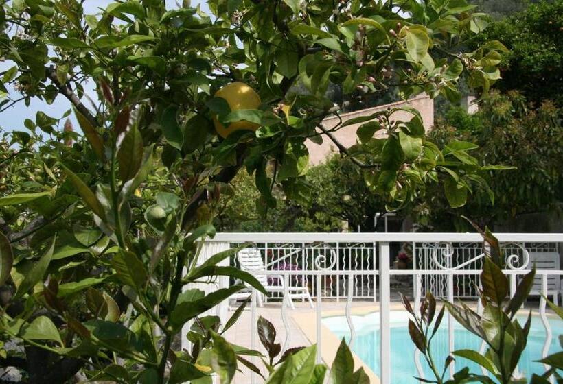 住宿加早餐 L'aleandra